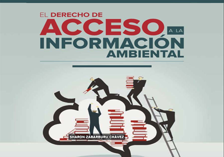 Acceso a la información ambiental